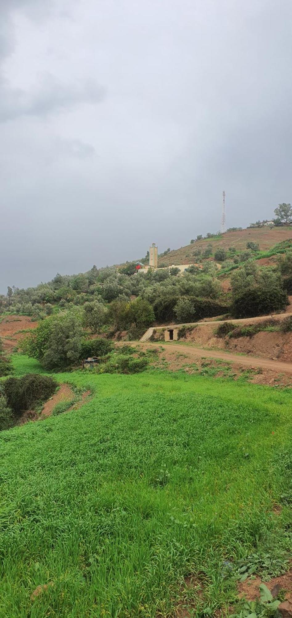 دار الضيافة تازكة Maison D'Hotes Tazekka Taza Extérieur photo
