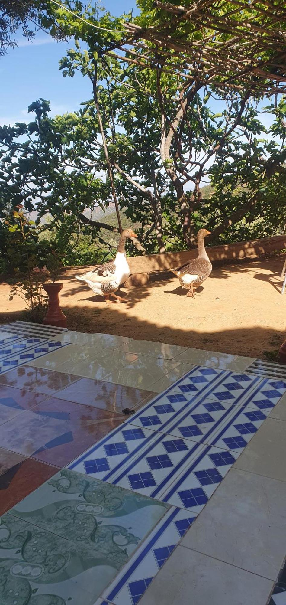 دار الضيافة تازكة Maison D'Hotes Tazekka Taza Extérieur photo